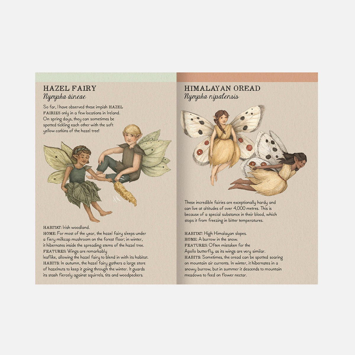 Fairy Matching Memory Card Game