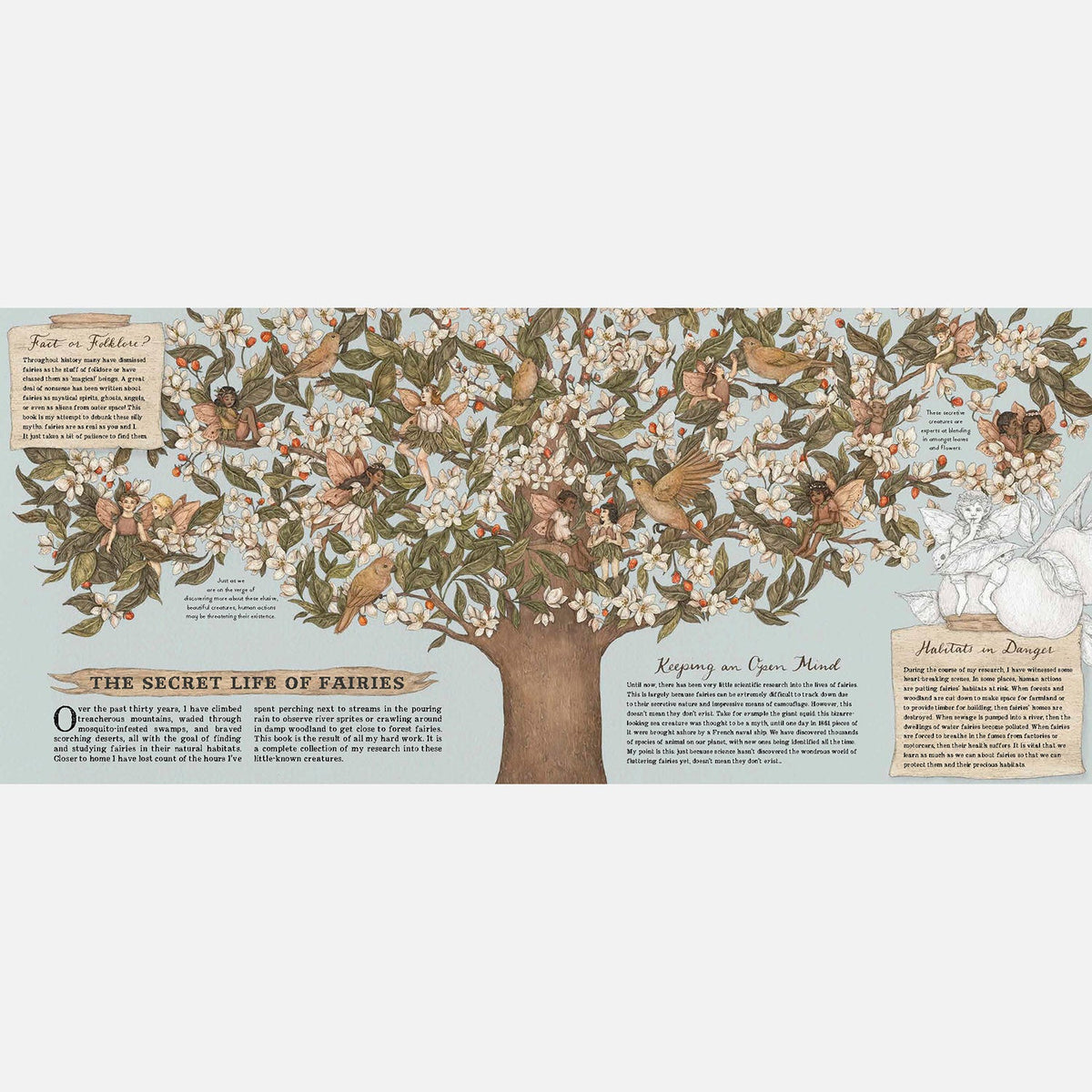 Libro illustrato sulla natura delle fate