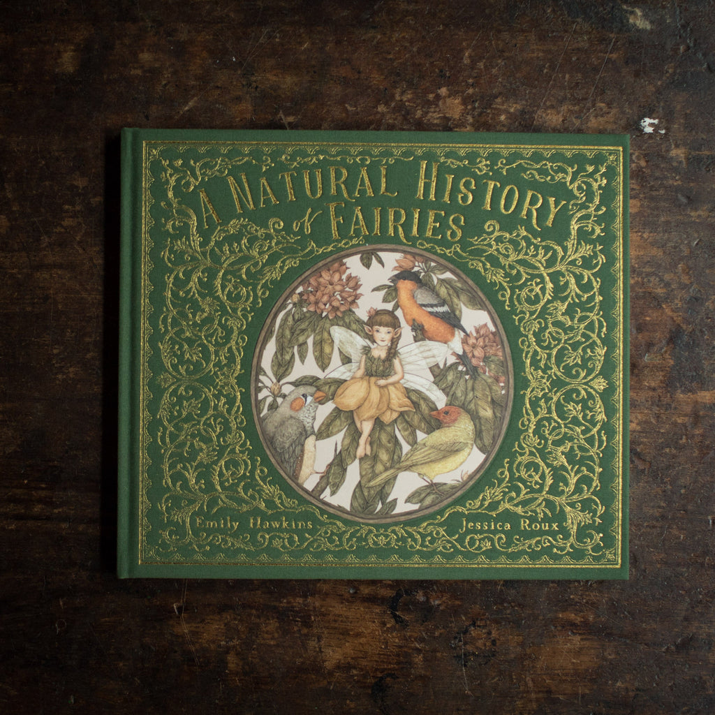 Livro de Natureza das Fadas Ilustrado