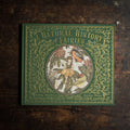 Livro de Natureza das Fadas Ilustrado