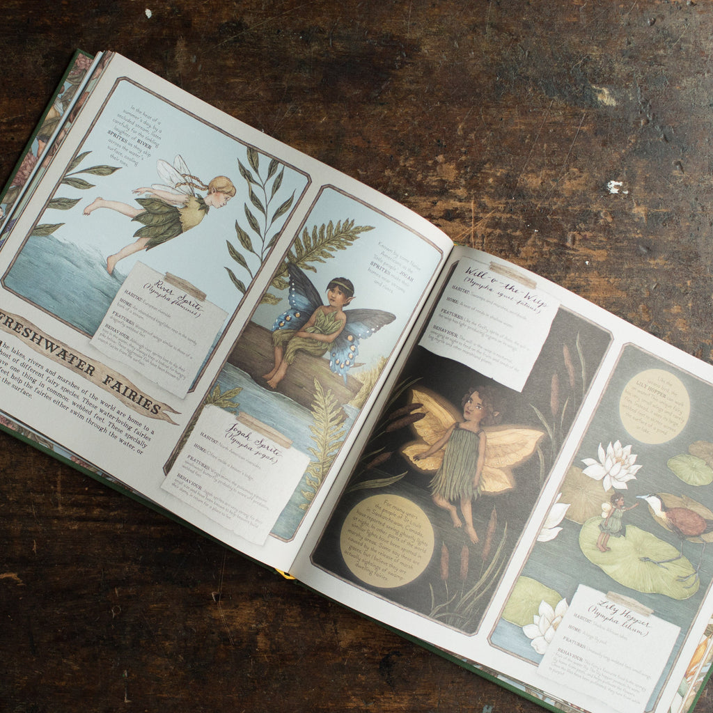 Livro de Natureza das Fadas Ilustrado